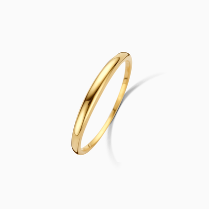 Schmaler Domring | Gold